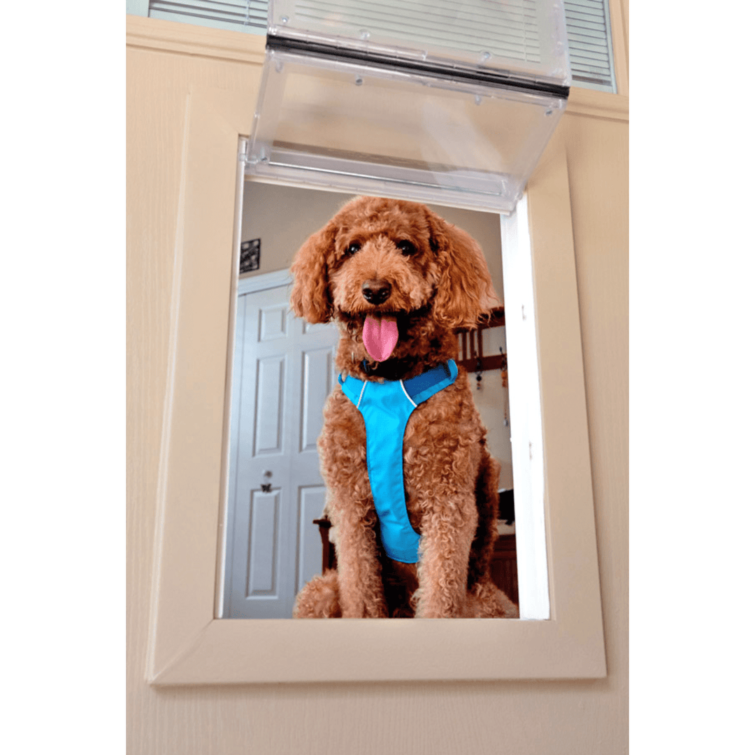 Guard Dog Pet Door Large Size, Lockable, Weatherproof, Flush - Fit Design - POWER FIT SHOP — Powering Preparedness, Health &amp; Home