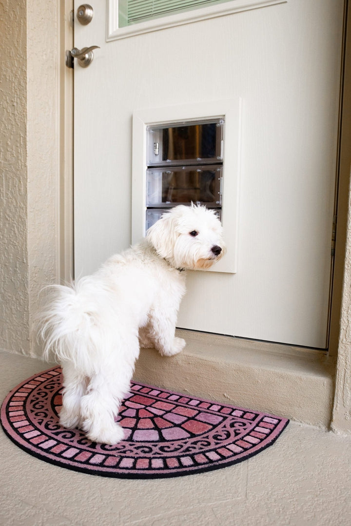 Guard Dog Pet Door Large Size, Lockable, Weatherproof, Flush - Fit Design - POWER FIT SHOP — Powering Preparedness, Health &amp; Home
