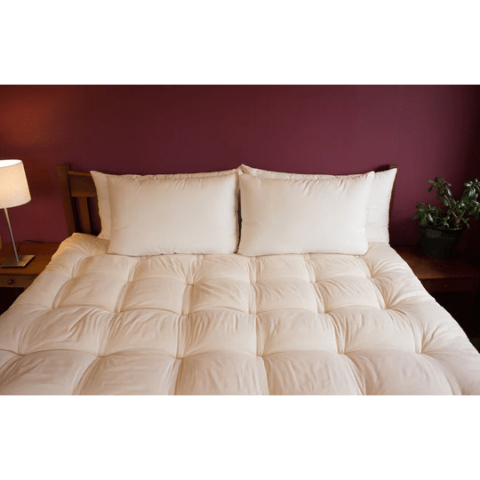 Holy Lamb Organic Wool Bed Pillows Queen Size Regular 20" x 30" - POWER FIT SHOP — Powering Preparedness, Health & Home
