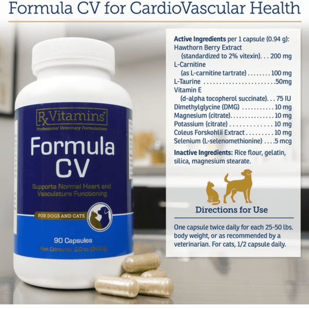 MHP Rx Vitamins for Pets Formula CV cardiovascular support supplement in 90 capsules for cats and dogs, with label and capsules visible.