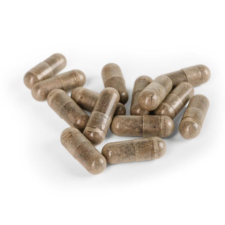 Ayush Herbs Ashwagandha Adaptogen Anti - aging 120 Veg Caps x 500mg - POWER FIT SHOP — Powering Preparedness, Health &amp; Home