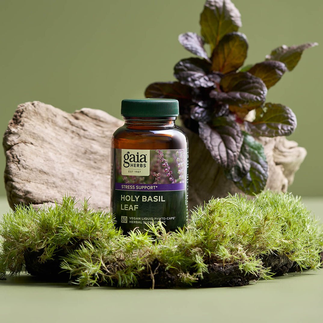 Gaia Herbs Holy Basil Herbal Supplement for General Wellness 60 Caps - POWER FIT SHOP — Powering Preparedness, Health &amp; Home