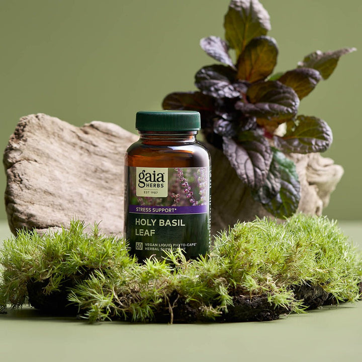 Gaia Herbs Holy Basil Herbal Supplement for General Wellness 60 Caps - POWER FIT SHOP — Powering Preparedness, Health &amp; Home