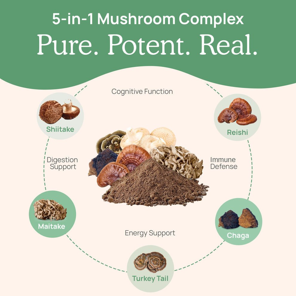 Real Mushrooms 5 - Defenders Mushroom Extract Powder 200 Capsules - POWER FIT SHOP — Powering Preparedness, Health &amp; Home