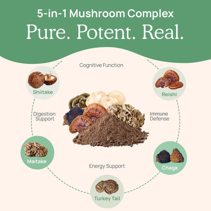 Real Mushrooms 5 - Defenders Mushroom Extract Powder 200 Capsules - POWER FIT SHOP — Powering Preparedness, Health &amp; Home