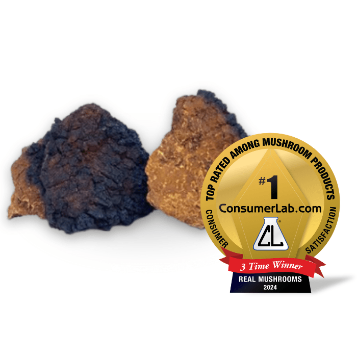 Real Mushrooms Chaga Extract Powder 60 G Immune Support Gluten Free - POWER FIT SHOP — Powering Preparedness, Health &amp; Home