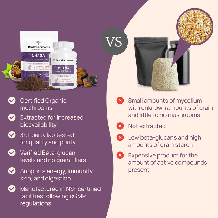 Real Mushrooms Chaga Extract Powder 60 G Immune Support Gluten Free - POWER FIT SHOP — Powering Preparedness, Health &amp; Home
