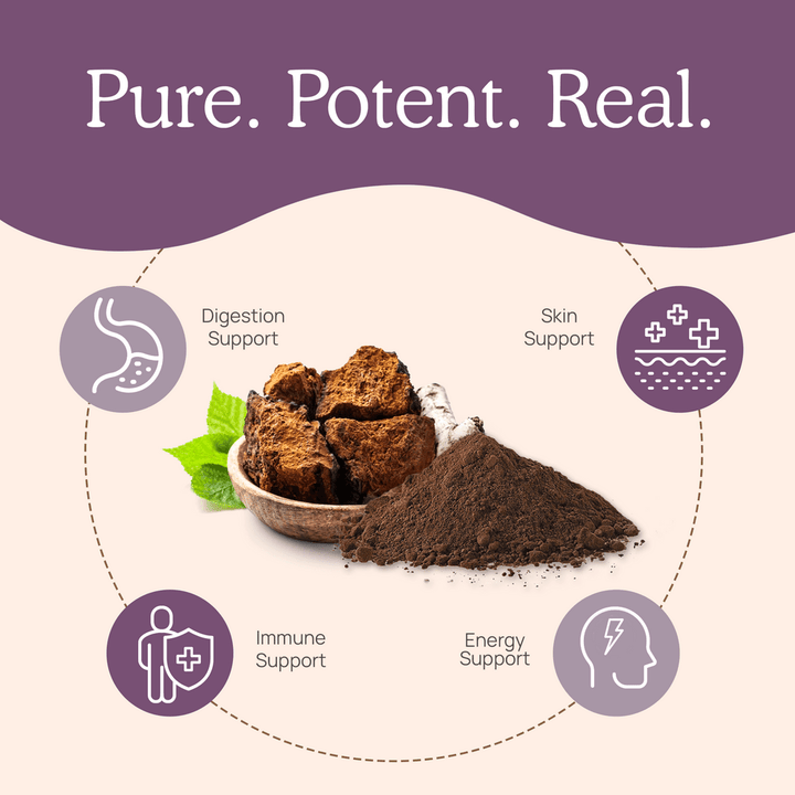 Real Mushrooms Chaga Extract Powder 60 G Immune Support Gluten Free - POWER FIT SHOP — Powering Preparedness, Health &amp; Home