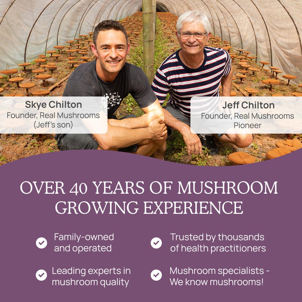 Real Mushrooms Chaga Extract Powder 60 G Immune Support Gluten Free - POWER FIT SHOP — Powering Preparedness, Health &amp; Home