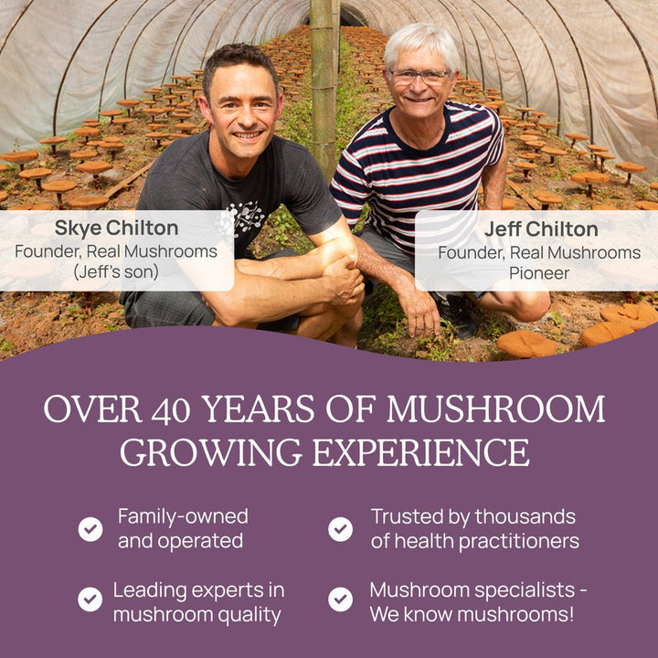 Real Mushrooms Chaga Extract Powder 60 G Immune Support Gluten Free - POWER FIT SHOP — Powering Preparedness, Health &amp; Home