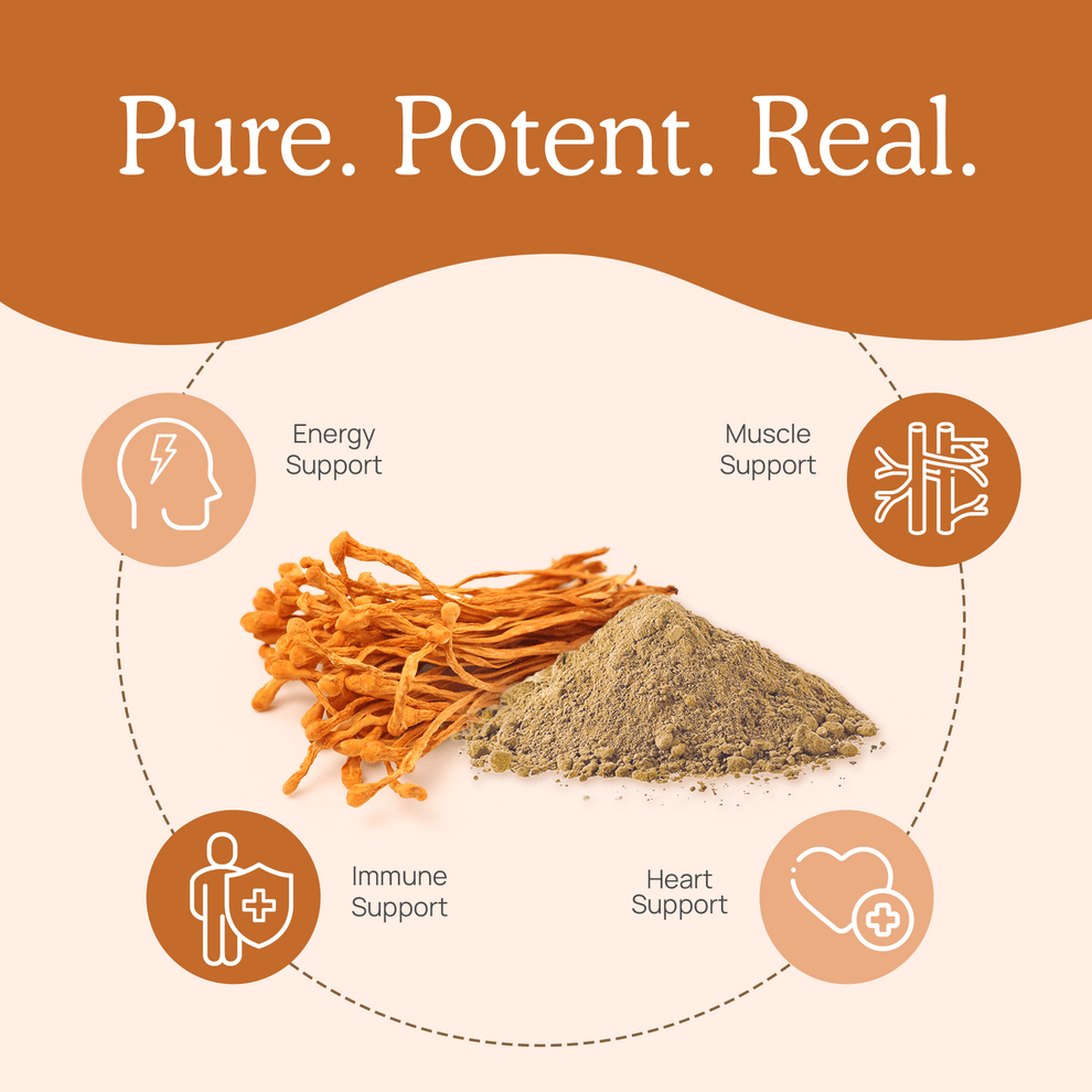 Real Mushrooms Cordyceps - M Immune Energy Support Vegan 120 Caps - POWER FIT SHOP — Powering Preparedness, Health &amp; Home