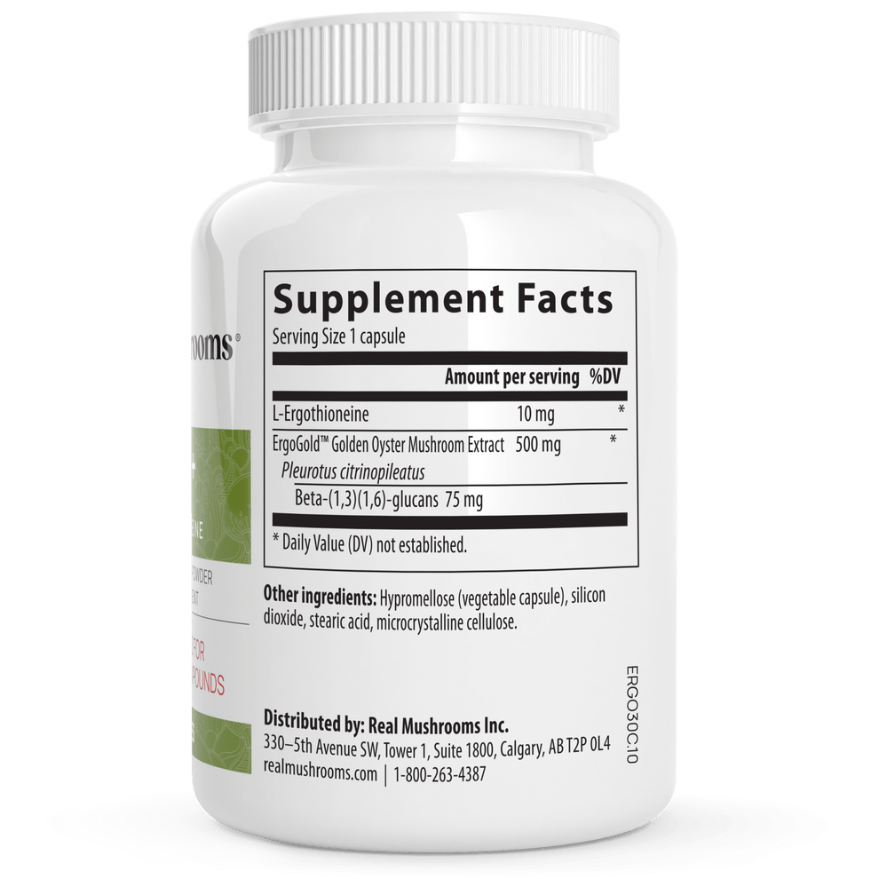 MHP Real Mushrooms Ergo dietary supplement bottle with 60 capsules for immune support, featuring mushroom extracts and L-Ergothioneine.