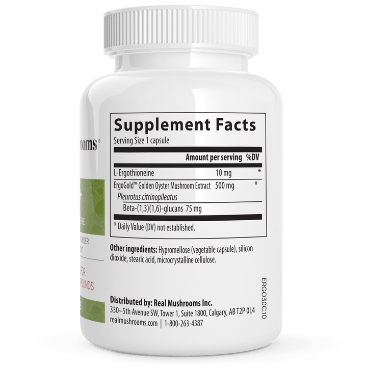 MHP Real Mushrooms Ergo dietary supplement bottle with 60 capsules for immune support, featuring mushroom extracts and L-Ergothioneine.
