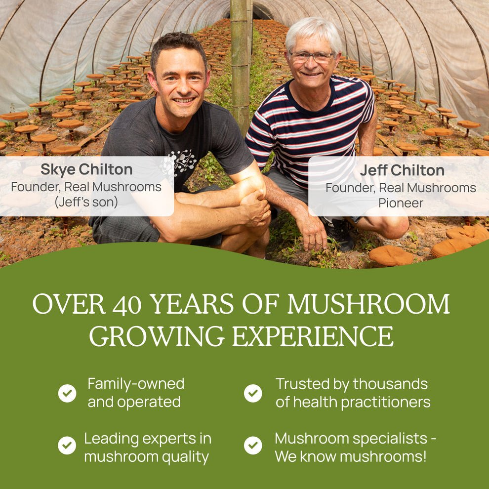 MHP Real Mushrooms Ergo dietary supplement with L-Ergothioneine in 60 capsules for immune support, showing capsules and packaging.
