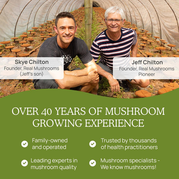 MHP Real Mushrooms Ergo dietary supplement with L-Ergothioneine in 60 capsules for immune support, showing capsules and packaging.