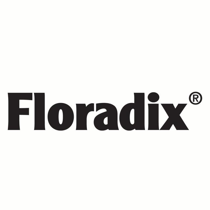 MHP Floradix Floravital liquid iron supplement with herbs, supports energy, yeast-free, 250ml bottle.