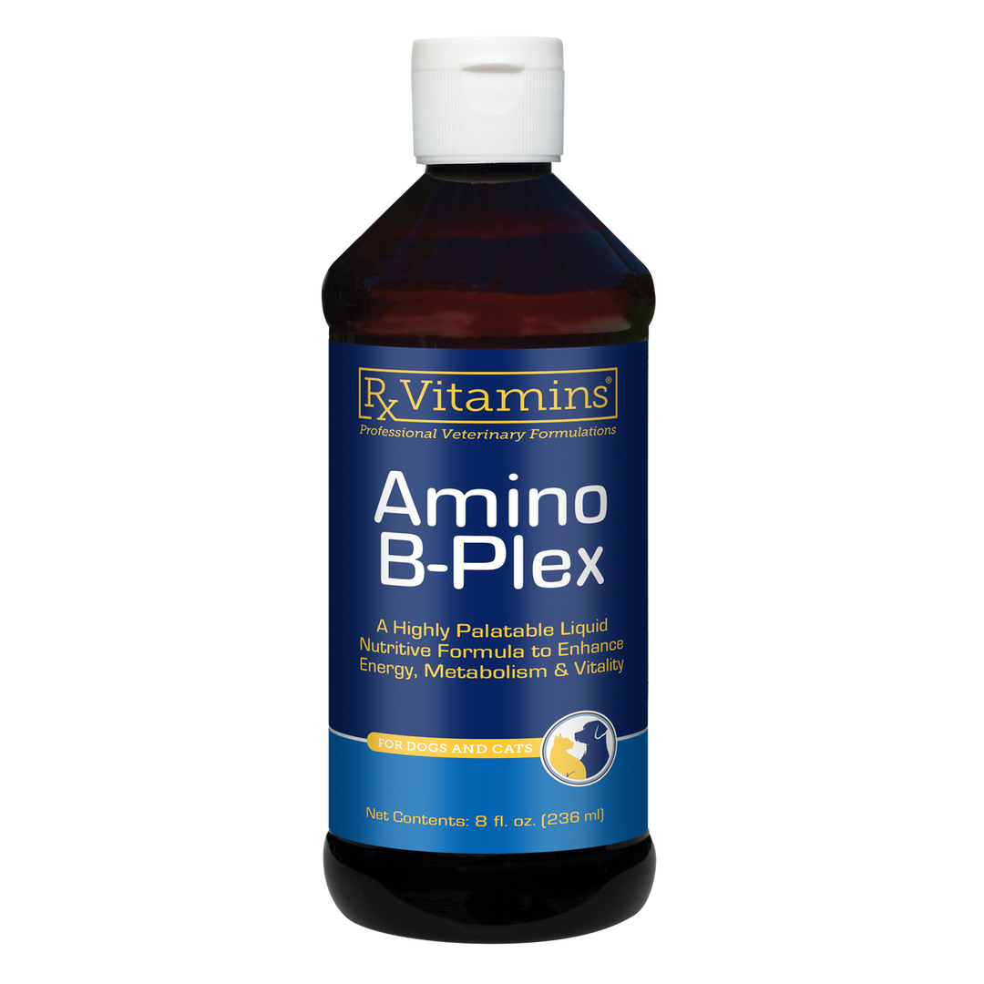 Rx Vitamins For Pets Amino B Plex Liver Fractions, 8 Oz liquid for dogs and cats to support energy and metabolism.