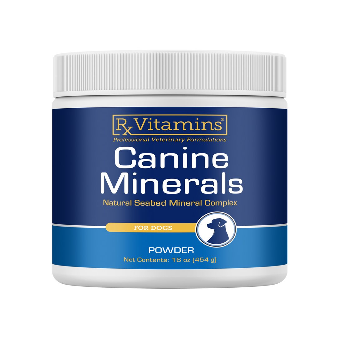Rx Vitamins For Pets Canine Mineral Powder 454g Natural Sea Bed Mineral Complex for Dogs