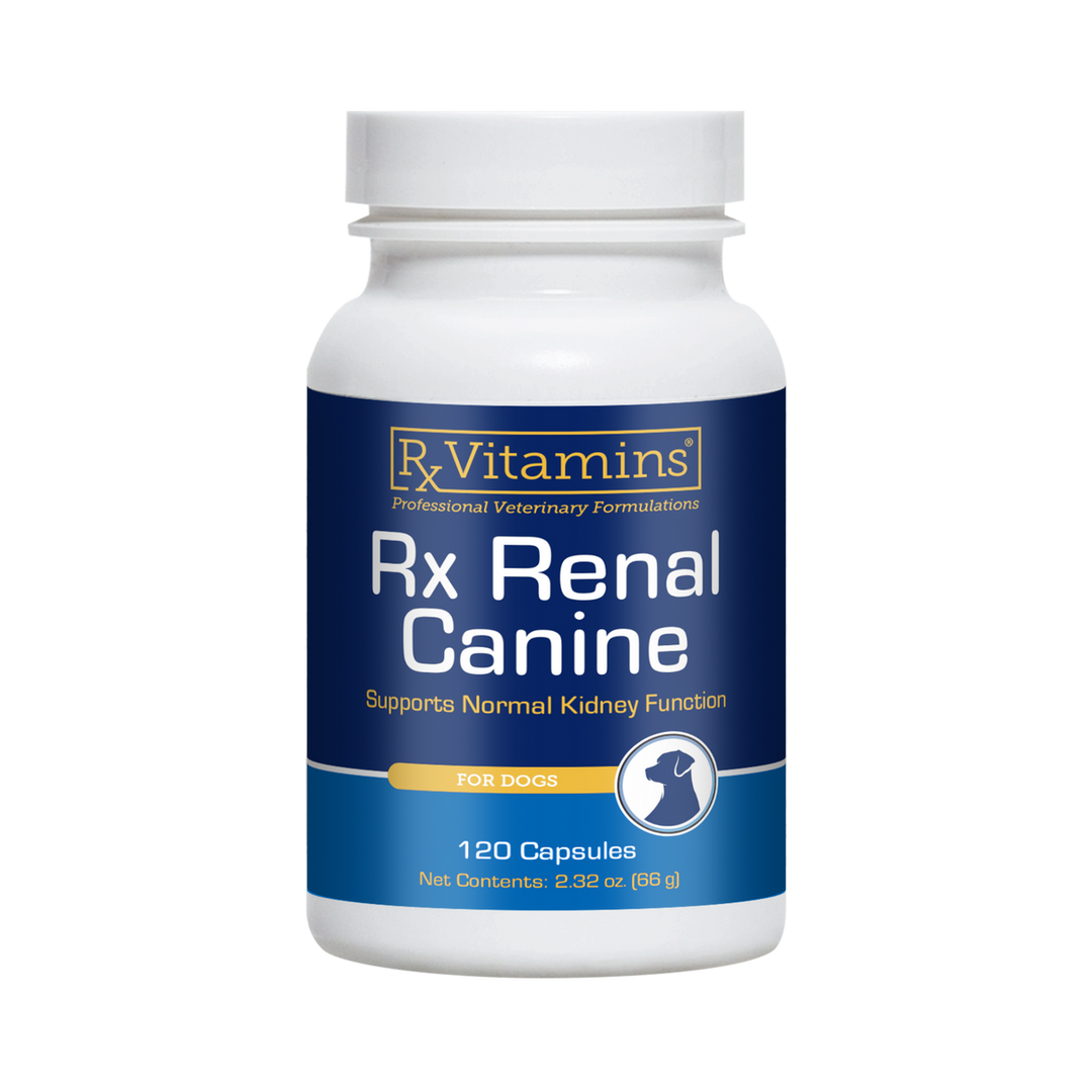 Rx Vitamins For Pets Rx Renal Canine Helps Kidney 120 Capsules for Dogs bottle, supports normal kidney function