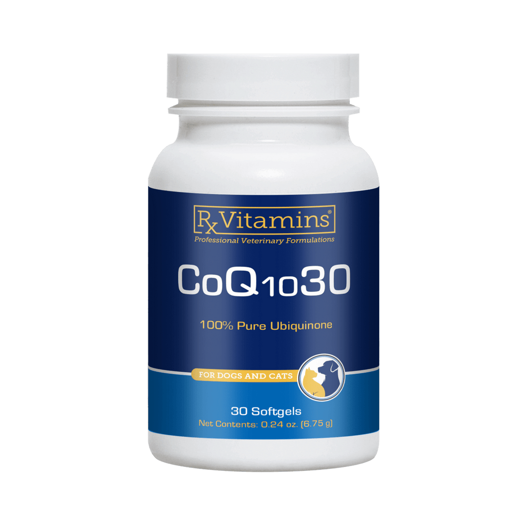 MHP Rx Vitamins CoQ10 supplement for dogs and cats in a bottle of 30 capsules, pet vitamins and supplements for energy support