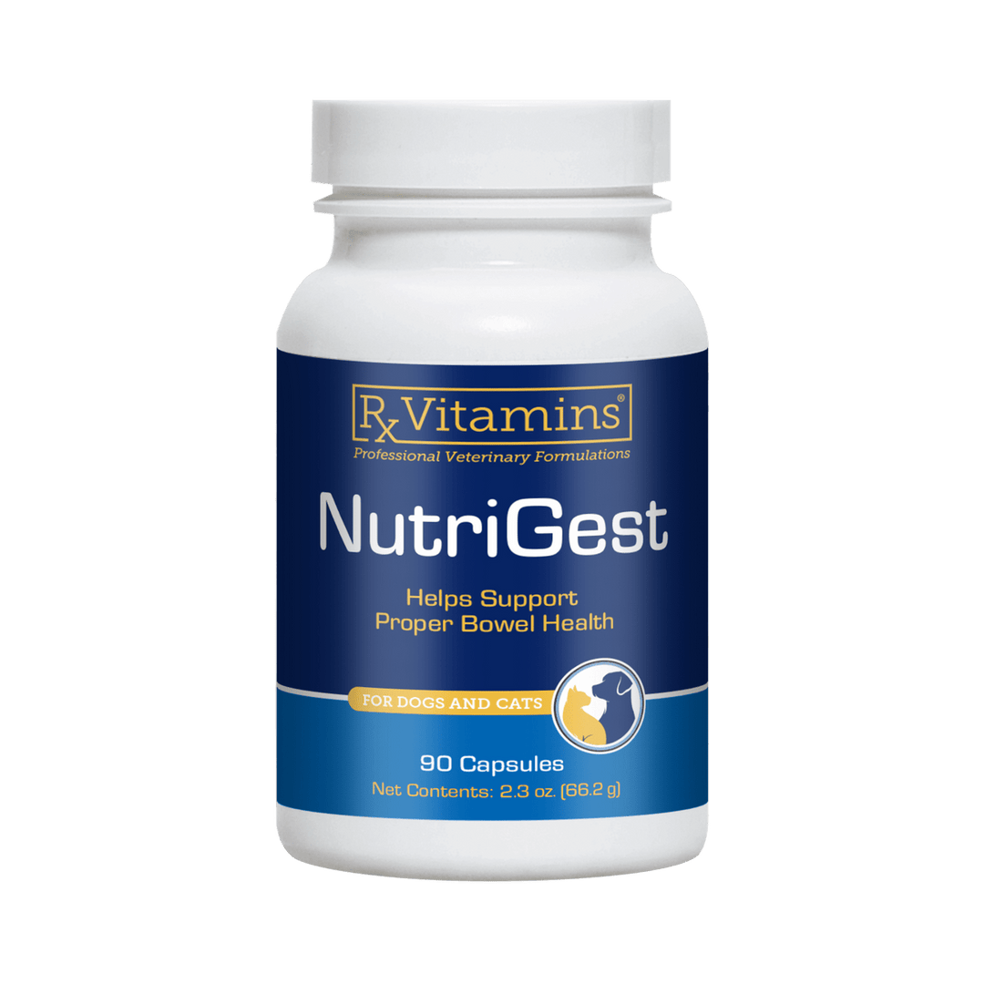 Rx Vitamins For Pets NutriGest 90 Capsules Digestive Health for Pets - POWER FIT SHOP — Powering Preparedness, Health &amp; Home
