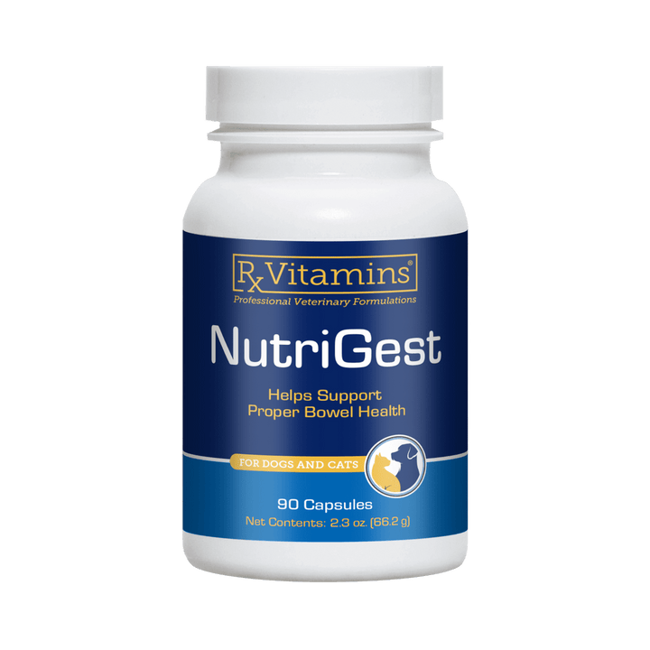 Rx Vitamins For Pets NutriGest 90 Capsules Digestive Health for Pets - POWER FIT SHOP — Powering Preparedness, Health &amp; Home