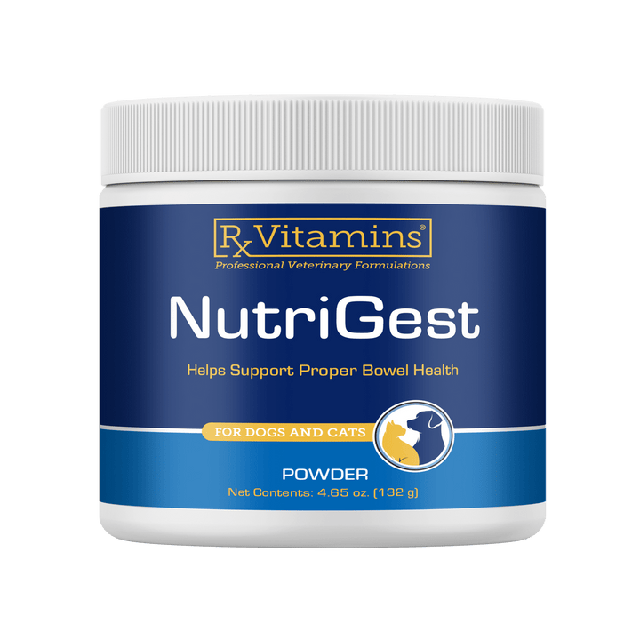 Rx Vitamins for Pets NutriGest powder in 4.65 oz container, digestive supplement for dogs and cats from MHP.