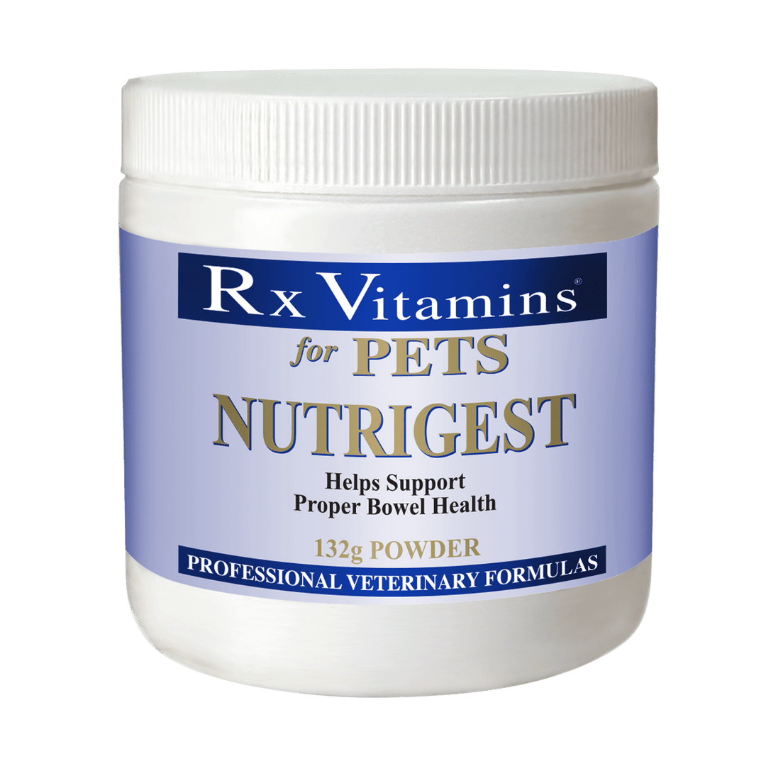 Rx Vitamins for Pets NutriGest Powder for dogs and cats, 4.65 oz, pet bowel support supplement from MHP.
