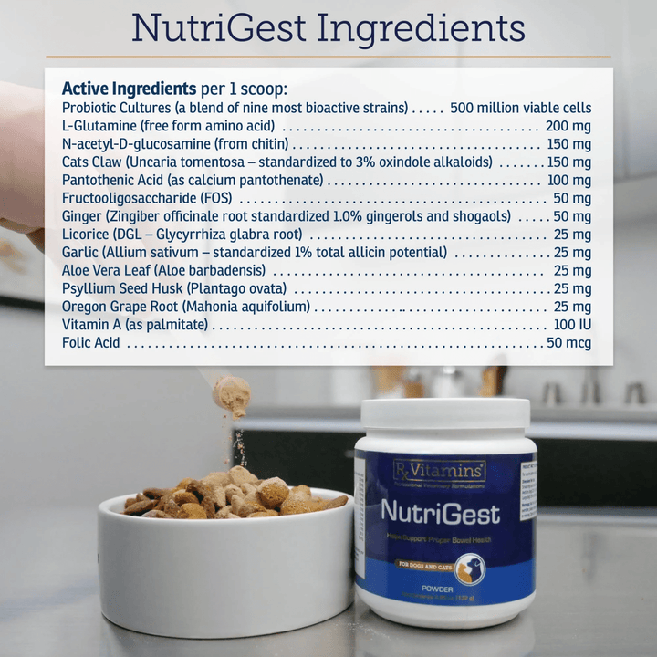 Rx Vitamins for Pets NutriGest Powder, 4.65 oz, pet supplement for bowel health for dogs and cats, by MHP.