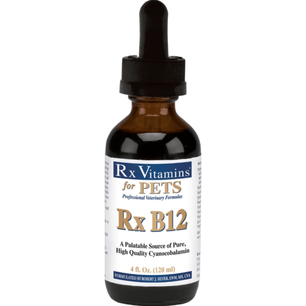 MHP Rx Vitamins for Pets Rx B12 Liquid 4 oz digestive supplement for pets, featuring a clear bottle with a white label and dropper cap.