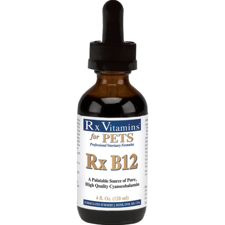 MHP Rx Vitamins for Pets Rx B12 Liquid 4 oz digestive supplement for pets, featuring a clear bottle with a white label and dropper cap.