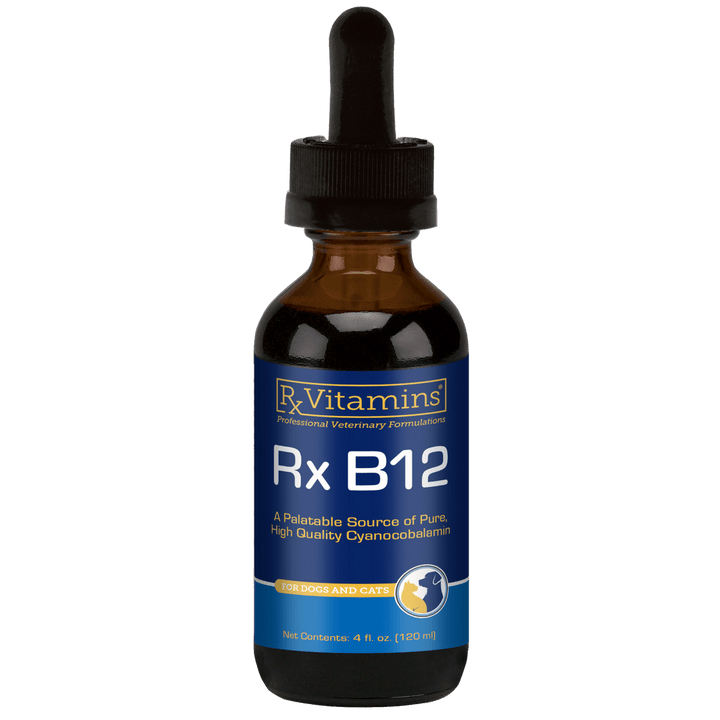 MHP Rx Vitamins for Pets Rx B12 Liquid 4 oz digestive supplement for pets, in a clear bottle with a white label.