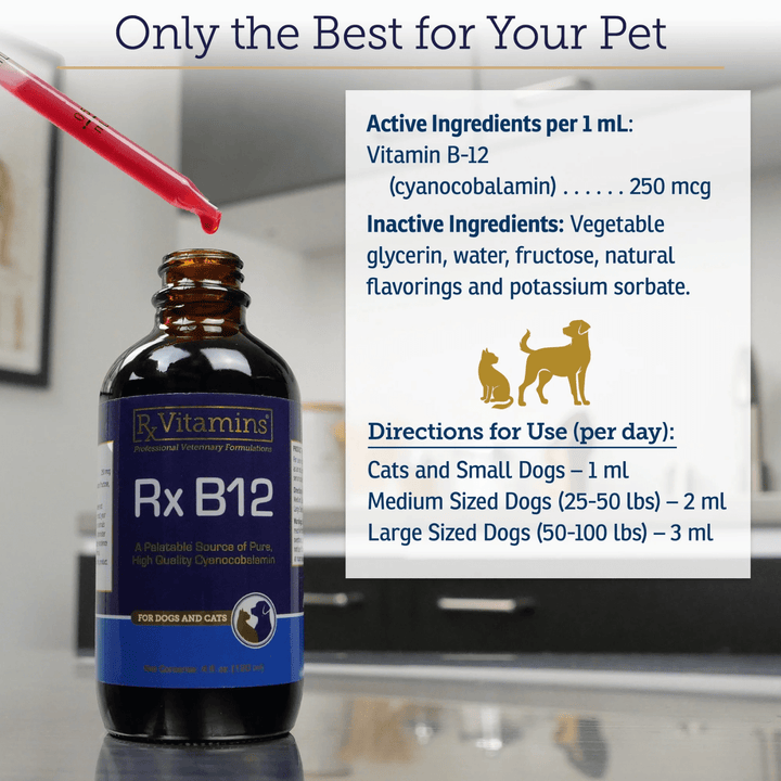 MHP Rx Vitamins For Pets Rx B12 Liquid 4 oz digestive supplement for pets, in a clear bottle with label showing pet health benefits.