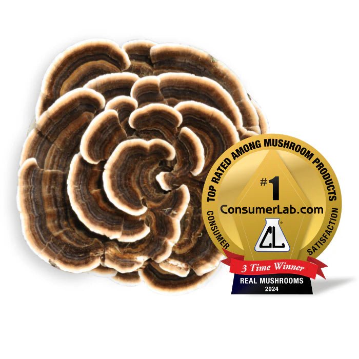 Real Mushrooms Turkey Tail Extract Immune Support 90 Capsules - POWER FIT SHOP — Powering Preparedness, Health &amp; Home