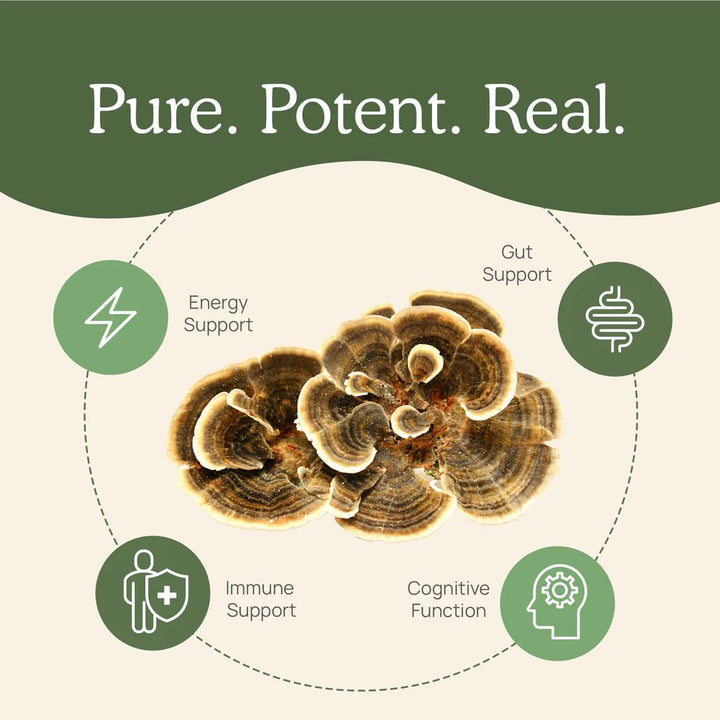 Real Mushrooms Turkey Tail Extract Immune Support 90 Capsules - POWER FIT SHOP — Powering Preparedness, Health &amp; Home