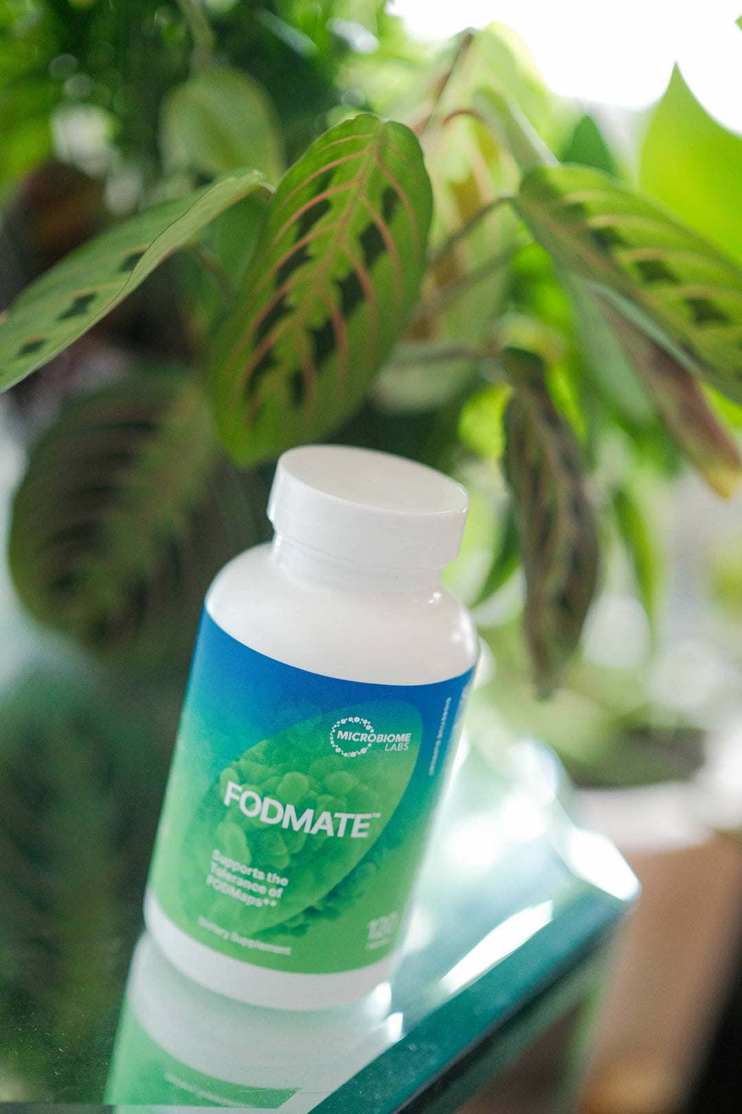 Microbiome Labs FODMate 120 Caps Supports Digestive Comfort and Relief - POWER FIT SHOP — Powering Preparedness, Health &amp; Home
