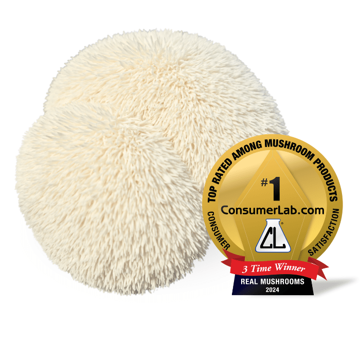 Real Mushrooms Lions Mane Mushroom Extract 60g Brain Health Support - POWER FIT SHOP — Powering Preparedness, Health &amp; Home