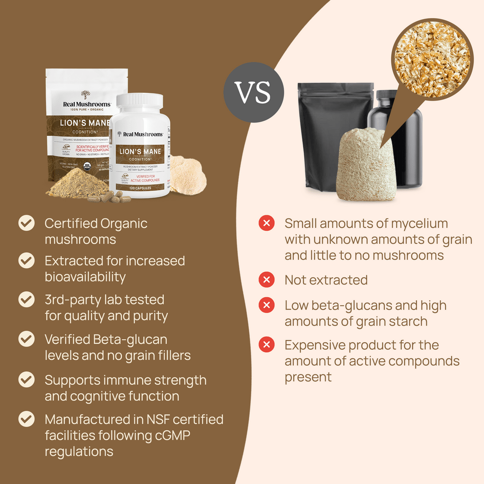 Real Mushrooms Lions Mane Mushroom Extract 60g Brain Health Support - POWER FIT SHOP — Powering Preparedness, Health &amp; Home