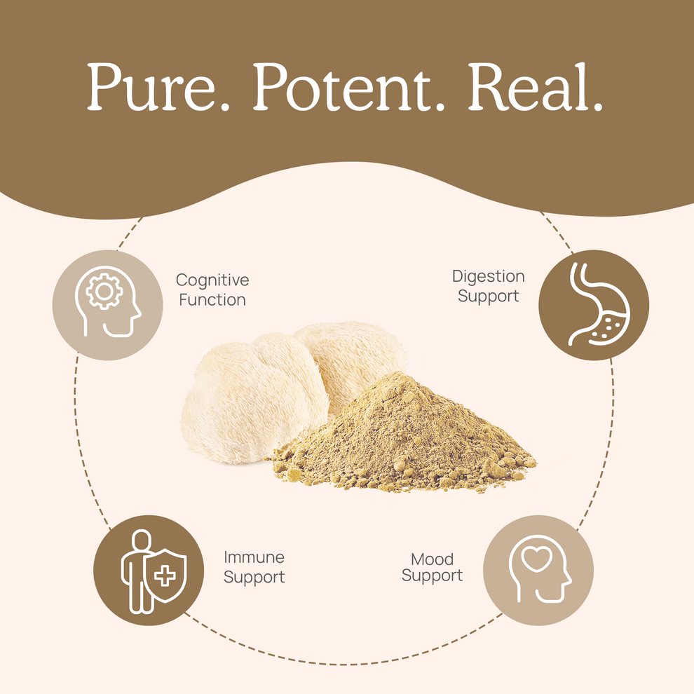 Real Mushrooms Lions Mane Mushroom Extract 60g Brain Health Support - POWER FIT SHOP — Powering Preparedness, Health &amp; Home