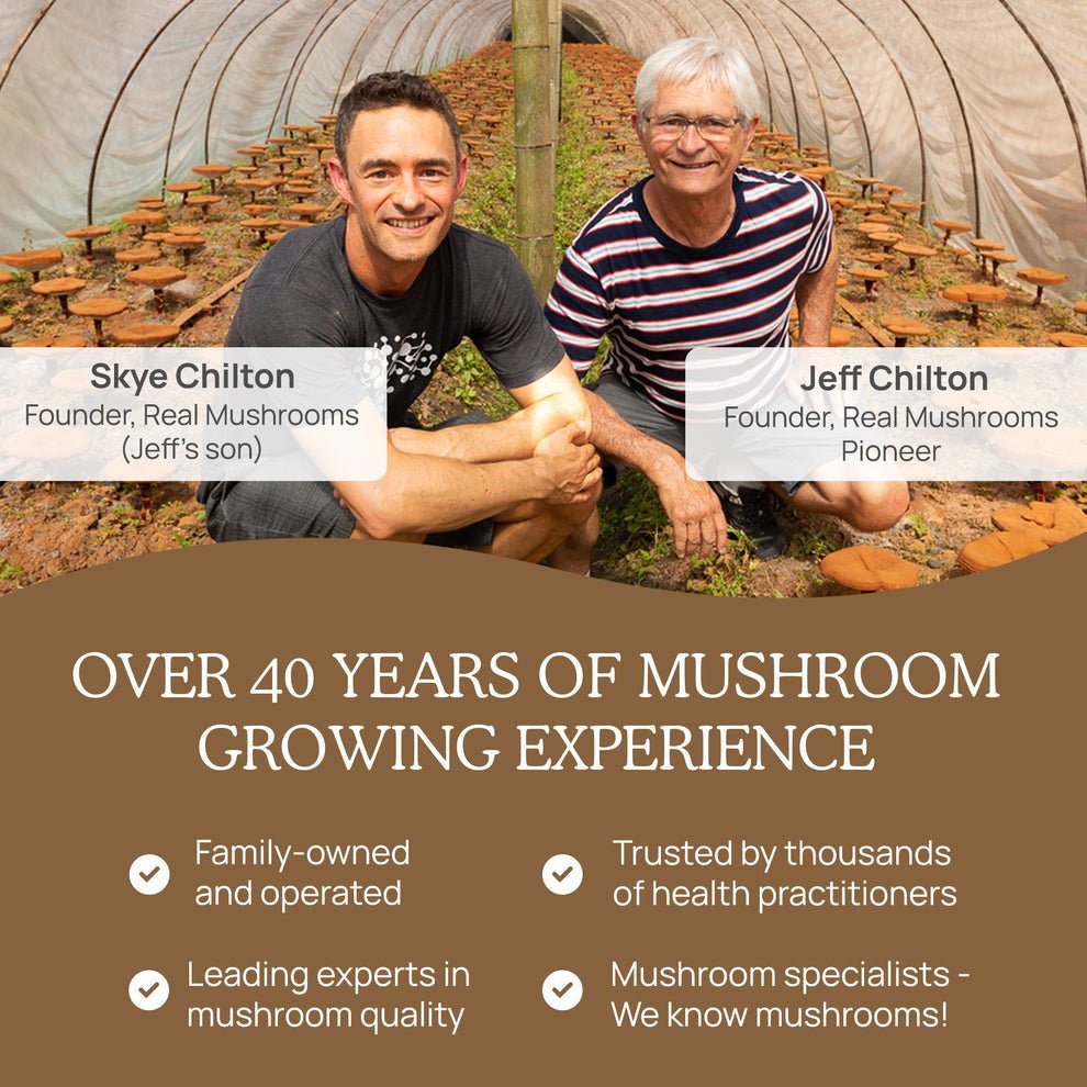 Real Mushrooms Lions Mane Mushroom Extract 60g Brain Health Support - POWER FIT SHOP — Powering Preparedness, Health &amp; Home