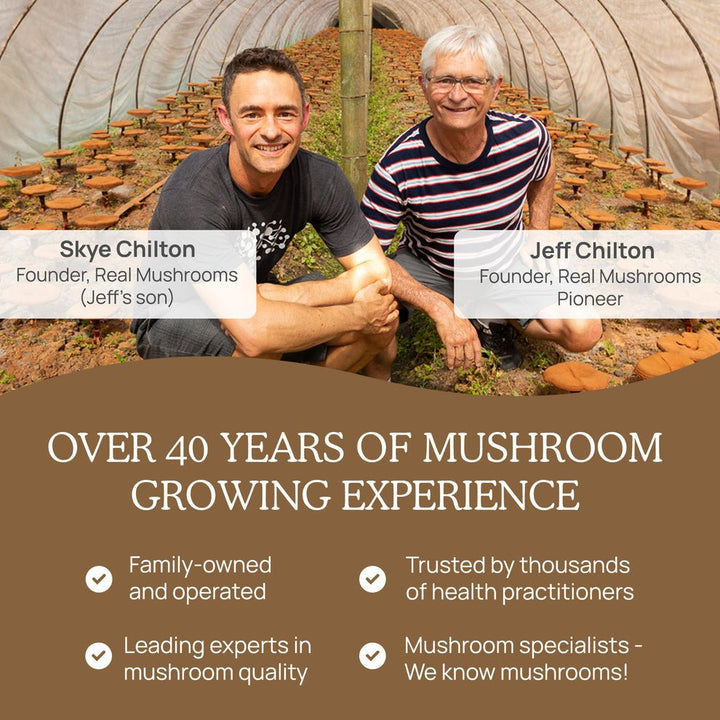 Real Mushrooms Lions Mane Mushroom Extract 60g Brain Health Support - POWER FIT SHOP — Powering Preparedness, Health &amp; Home
