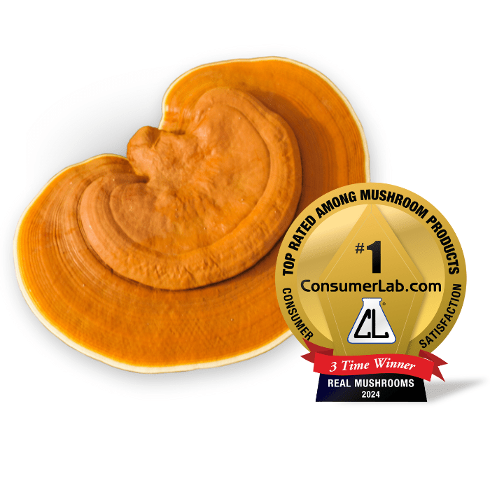 Real Mushrooms Reishi Mushroom Extract Bulk Powder 45 Grams - POWER FIT SHOP — Powering Preparedness, Health &amp; Home