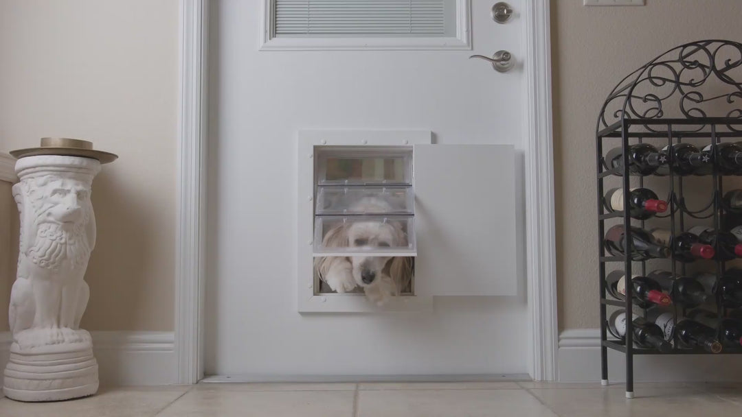 Guard Dog Pet Door Medium Size, Secure Flush Fit, Locking Panel, Weatherproof