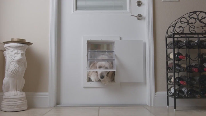 Guard Dog Pet Door Medium Size, Secure Flush Fit, Locking Panel, Weatherproof