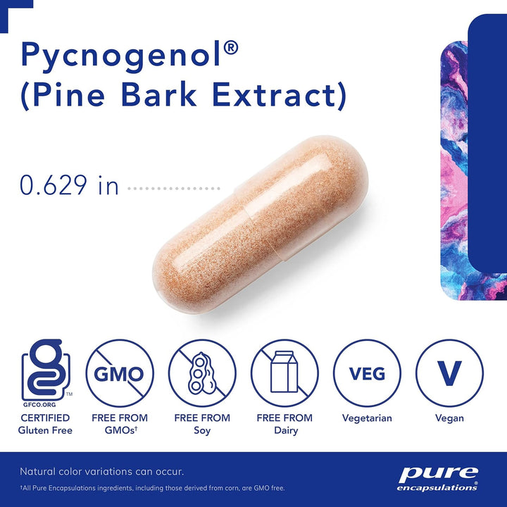 Pure Encapsulations Pycnogenol antioxidant herbal supplement bottle with 60 capsules supporting brain and heart health.