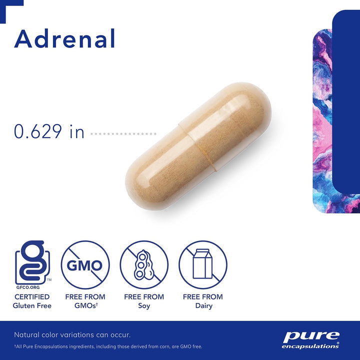 Pure Encapsulations Adrenal Cortex dietary supplement capsules supporting energy, stress relief, and gland health in a bottle.