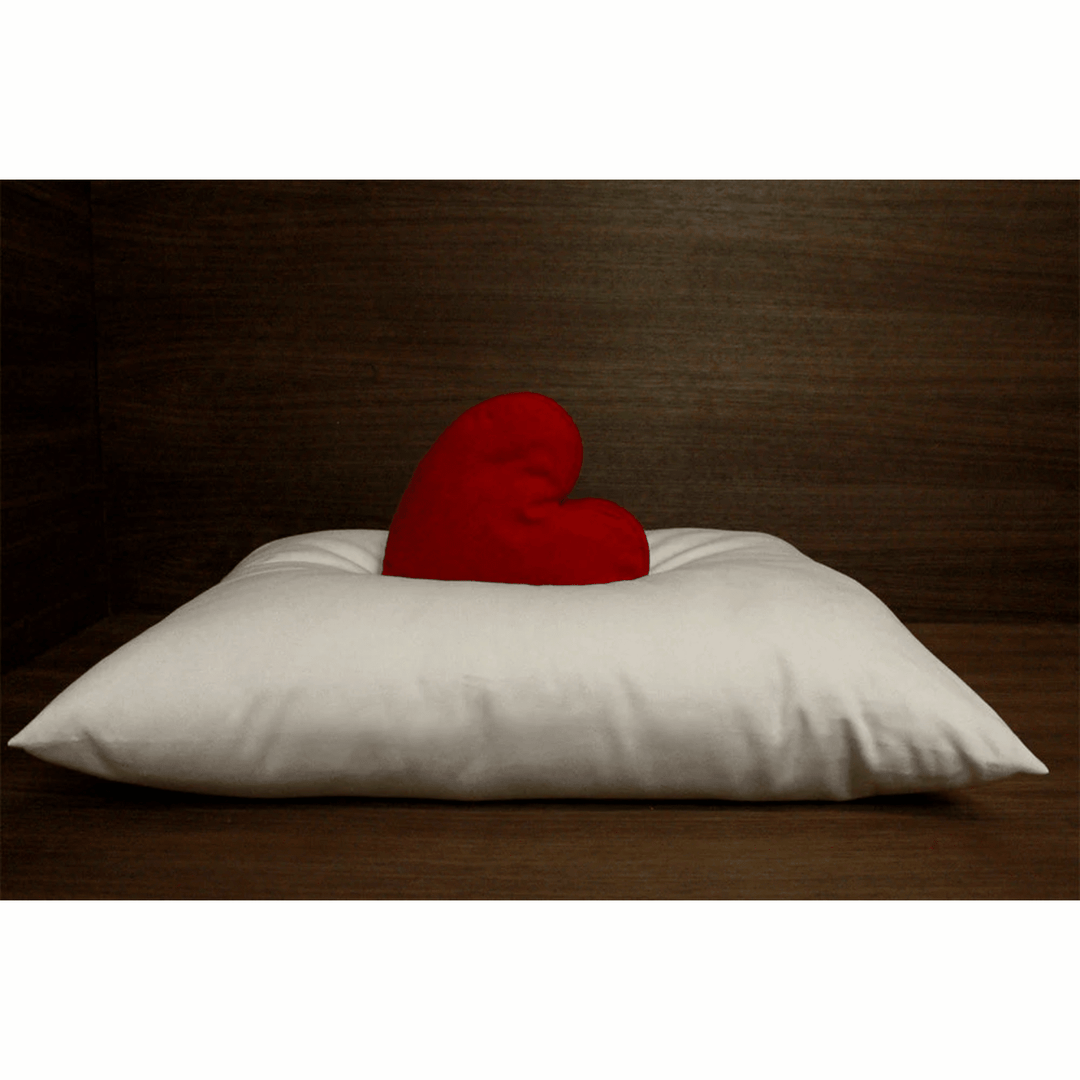 Soaring Heart firm organic wool pillow for travel and kids, 14x20 inches, natural comfort and supportive bedding