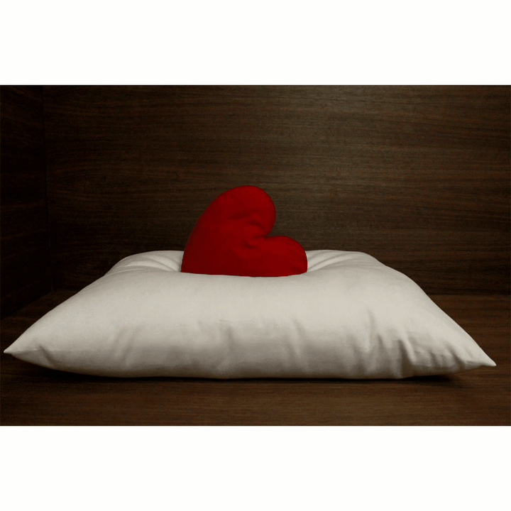 Soaring Heart firm organic wool pillow for travel and kids, 14x20 inches, natural comfort and supportive bedding