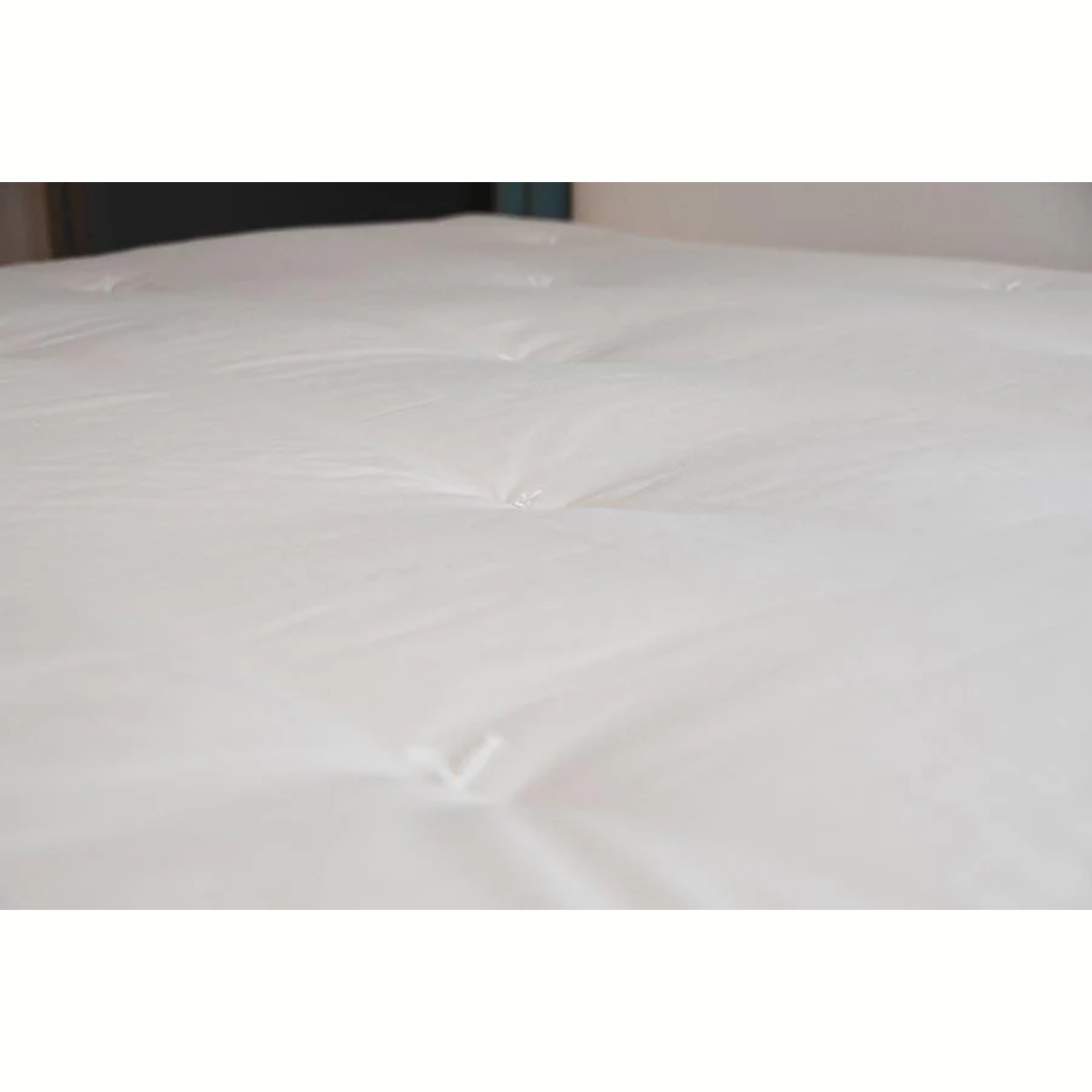 Soaring Heart Organic Latex Mattress Topper Extra Long Twin 39" x 80" Bedding - POWER FIT SHOP — Powering Preparedness, Health & Home