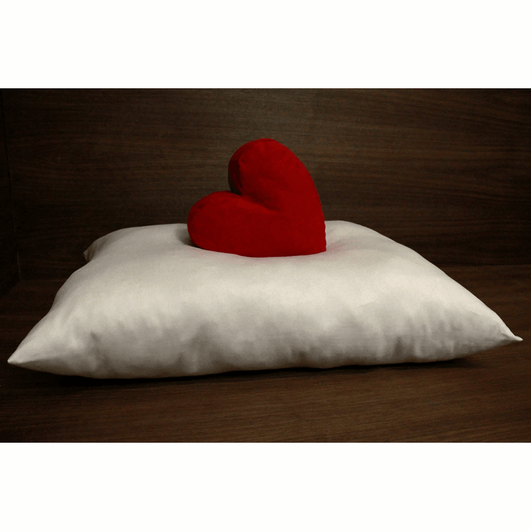 Soaring Heart Organic Shredded Latex Pillow Standard Queen Size 20" x 26" - POWER FIT SHOP — Powering Preparedness, Health &amp; Home